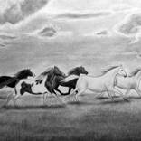 Wild horses by Iryna Mykhailenko