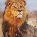 Lion Chief by Iryna Mykhailenko