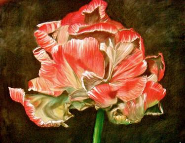 Print of Fine Art Botanic Paintings by Gabriella Di XX Miglia