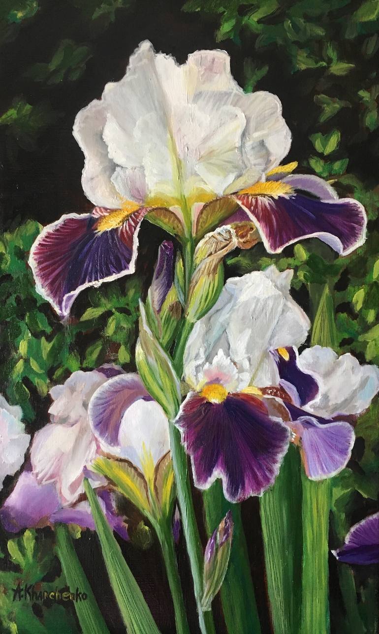 Irises, flowers garden Painting by Anastasiya Kharchenko | Saatchi Art