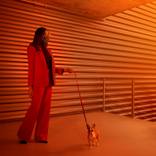 The New Abnormal - The Fashionista by Susan J Chen