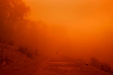 Original Conceptual Landscape Photography by Susan J Chen