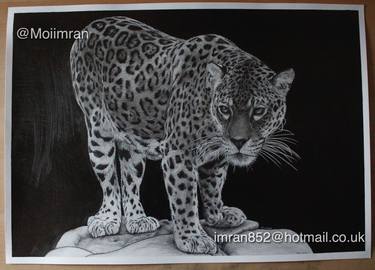 Cheetah drawing - Wild Big Cat thumb
