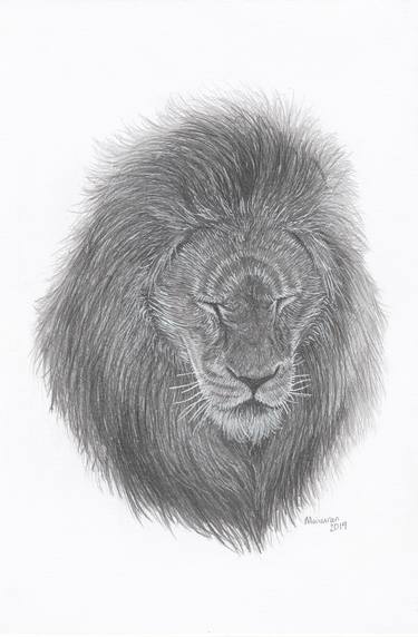 Drawing of Big Cat - Lion King by Moiimran Animal Wildlife thumb