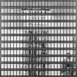 Mies and FFF – IBM Building (Day) by Edward Chao