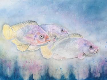 Original Fine Art Animal Paintings by Buthaina Bucheery