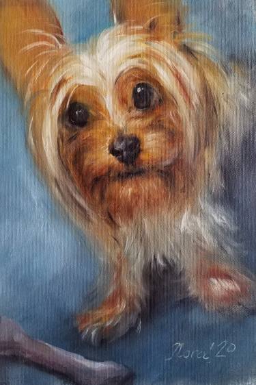 Yorkshire terrier portrait dog oil painting thumb