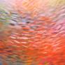 Abstract organic painting. I enjoy a lot my new cycle “Fish”...is associated with my textile art works with impressionistic tissue of light and colors. I hope it will add to your space relaxing, meditative vibrations of nature…. and my joy :)
Quality acrylic paints have been used. Ready to hang.
Please note that color temperature may vary slightly on different monitors.