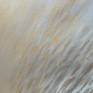 view additional image 6