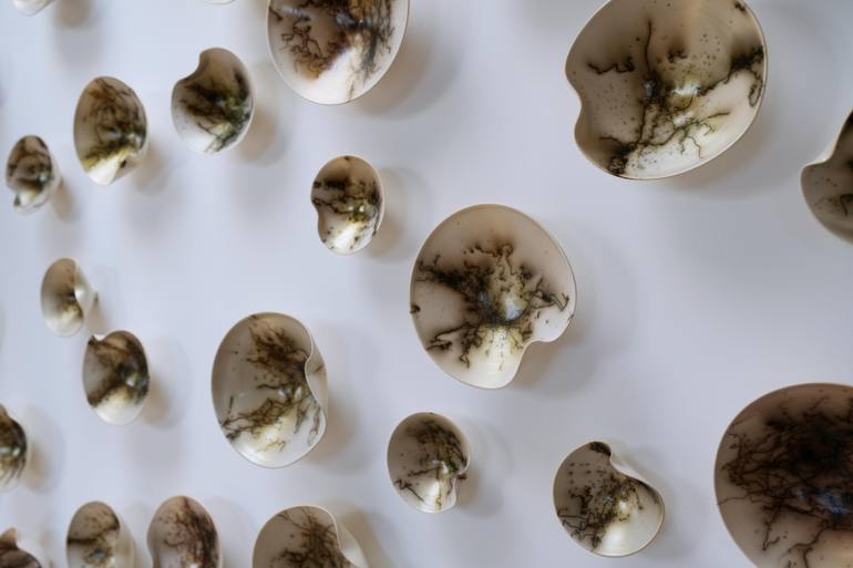 Original Installation Art Nature Installation by Natalya Seva