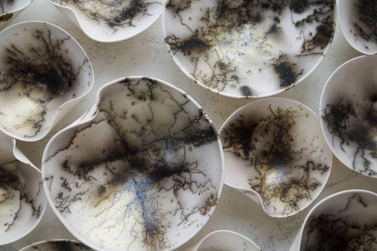 Original Installation Art Nature Installation by Natalya Seva