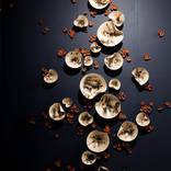 Collection Art for Hallways & Staircases