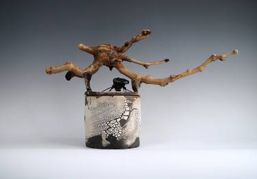 Handmade Raku Vessel, Raku Arts, Beetle Wooden Handle Jar thumb