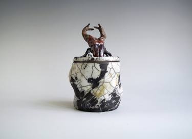 Handmade Raku Jar, Unique Raku Ceramics, Beetle Lid Handle thumb