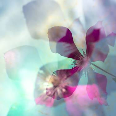 Original Abstract Floral Photography by Olena Morozova