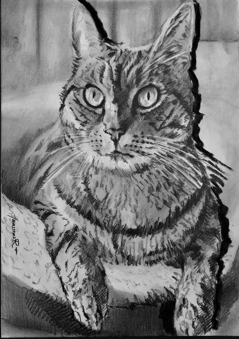 Cat charcoal drawing Drawing by Richard Hanssens | Saatchi Art