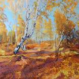 Sunny forest by Aleksandr Matuzov