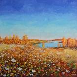 Chamomile field. by Aleksandr Matuzov