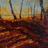 Autumn shadows by Aleksandr Matuzov