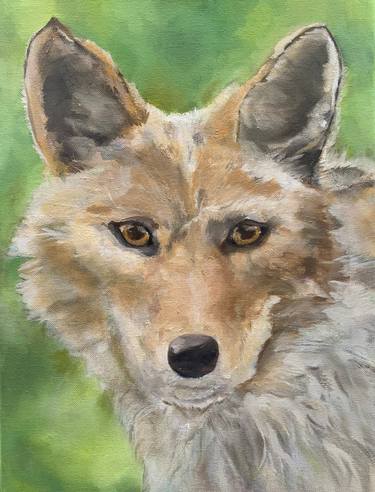 California Coyote, Oil Painting, Sir Frederick III thumb