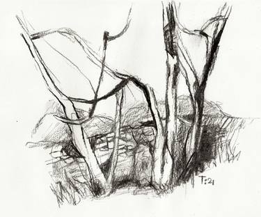 Print of Expressionism Nature Drawings by Tore Bahnson