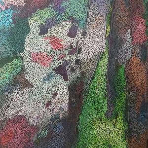 Collection Spring 2022 Vol. 3: Contemporary Landscapes