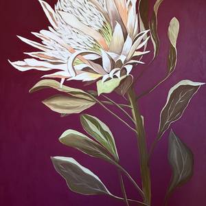 Protea