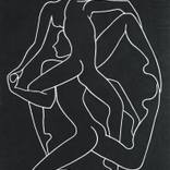 Collection Inspired by Matisse