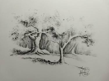 Original Realism Nature Drawings by ALCIDES CAZAL