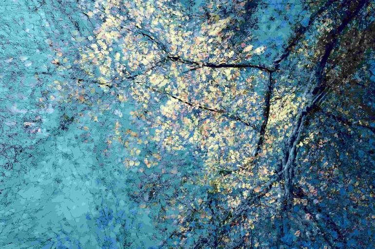 Original Nature Photography by Oleksandr Shapovalov | Contemporary Art on Paper | The Magic of the Evening Forest - Limited Edition of 5