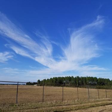 Field Under Open Skies thumb