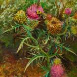 Thistle by Jane Kuratovska