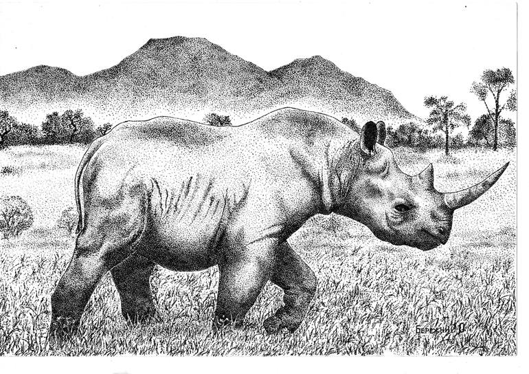 View in a Room Artwork