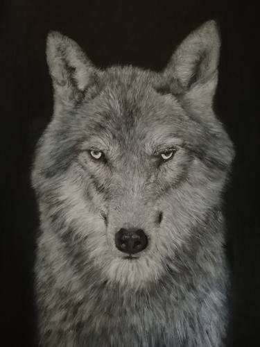 Print of Realism Animal Paintings by SIMON GERGES