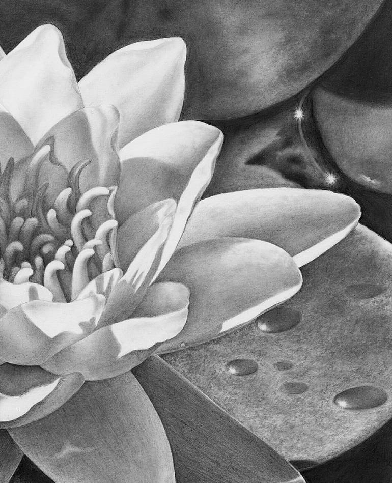 Original Floral Drawing by Olga Pursches
