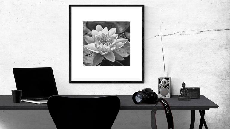 Original Floral Drawing by Olga Pursches