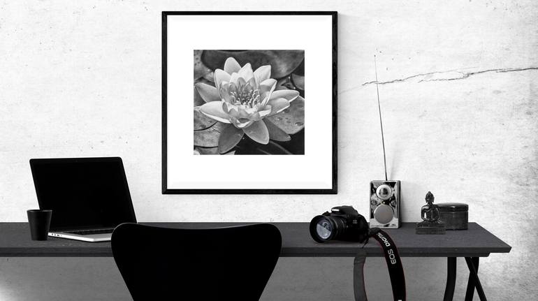 Original Photorealism Floral Drawing by Olga Pursches