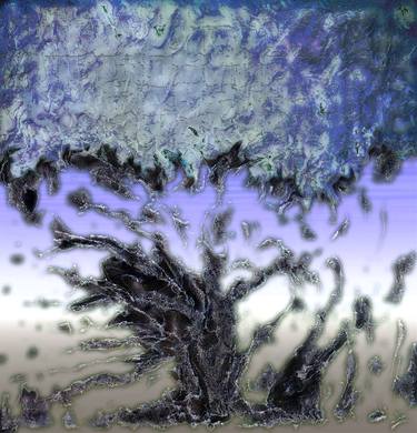 Original Abstract Tree Photography by Frani Evedon