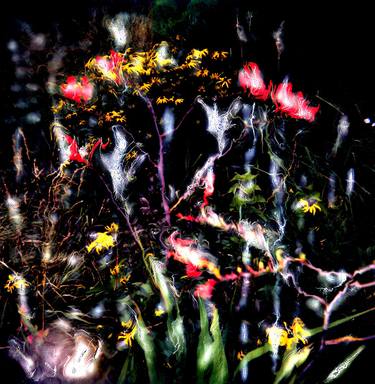 Original Abstract Botanic Photography by Frani Evedon