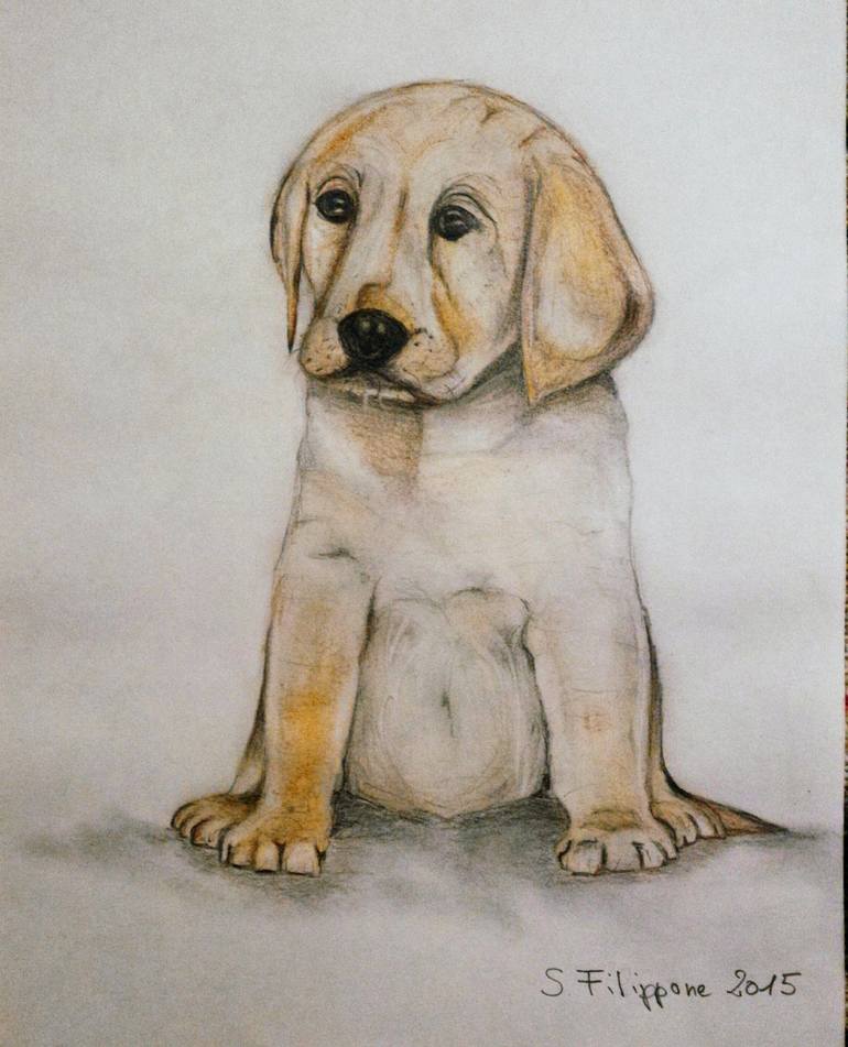 Puppy Drawing by Simone Filippone 