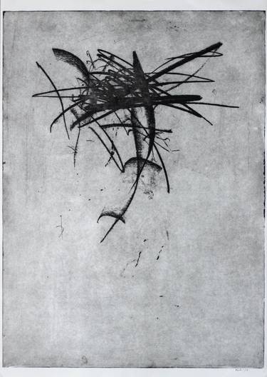 Print of Abstract Printmaking by Kate Hester
