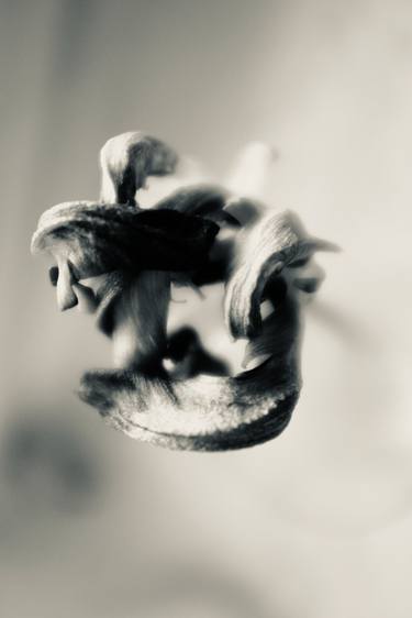 Original Abstract Expressionism Mortality Photography by Marius van Niekerk