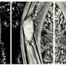 “HangOver” - Triptych,