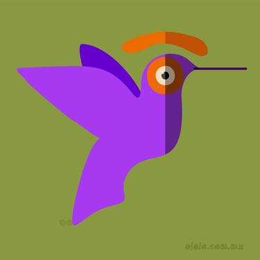 animalojo 32 - colibríris thumb