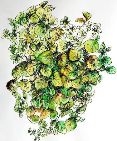 Original Expressionism Floral Drawings by Ksenia Lutsenko