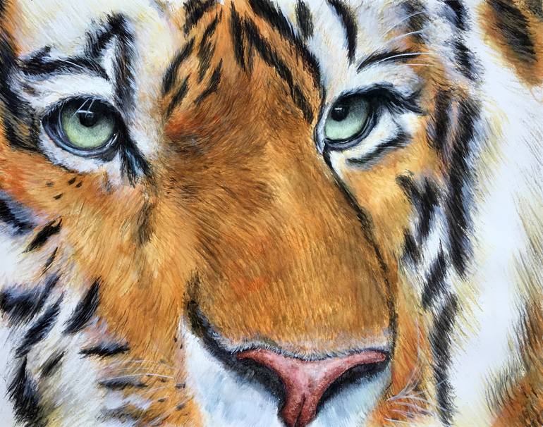 Tiger Pencil Drawing Canvas Print