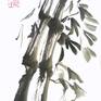 Collection Bamboo painting