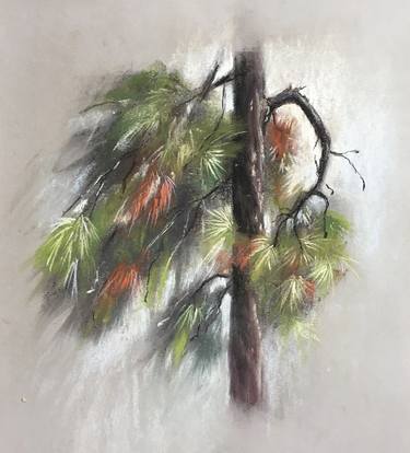 PINE TREE STUDY #2 -  soft pastel impressionist thumb