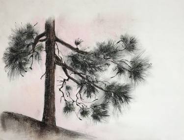 Print of Tree Drawings by Ksenia Lutsenko