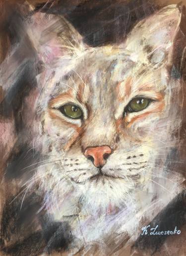 Impressionistic wildlife lynx cat wild - animal pastel drawing- Bashful thumb